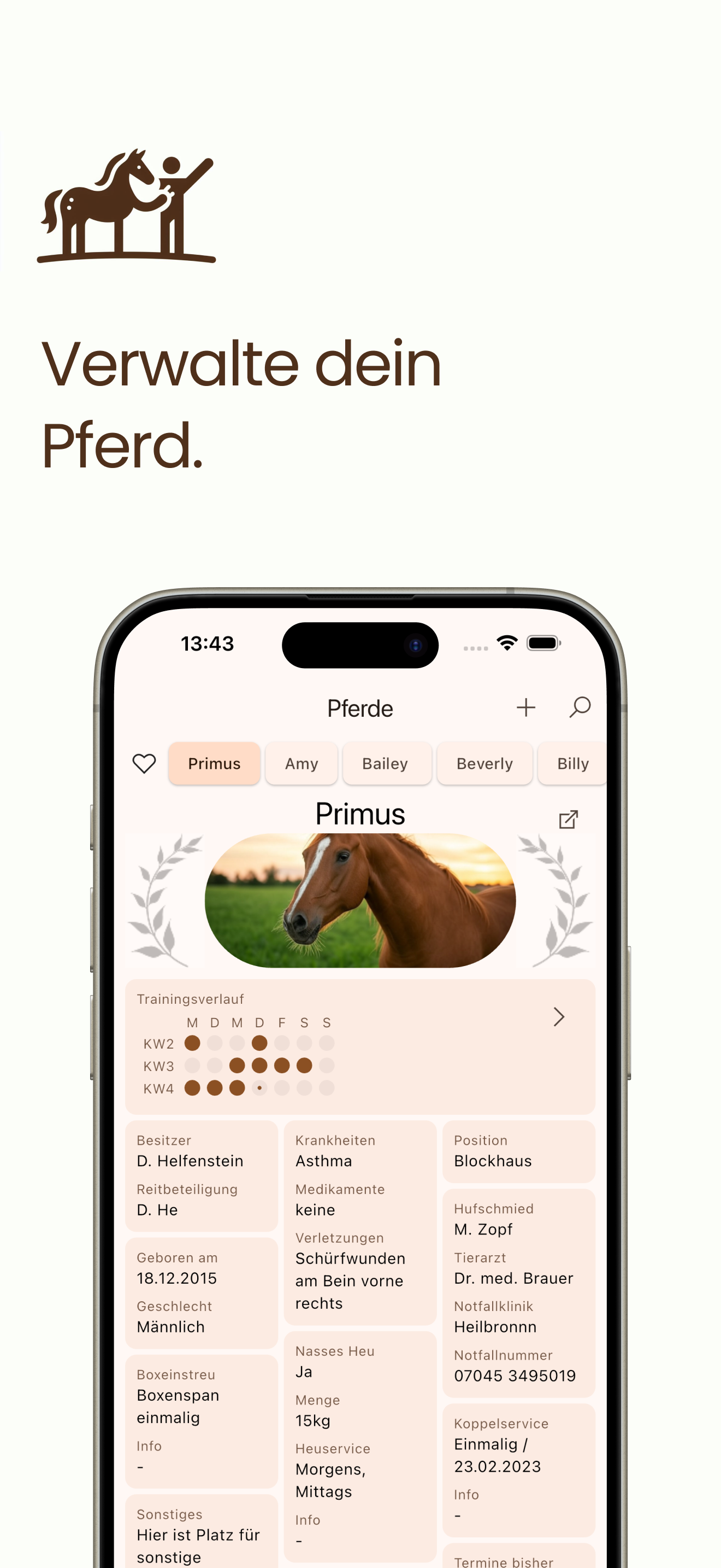 Pferde